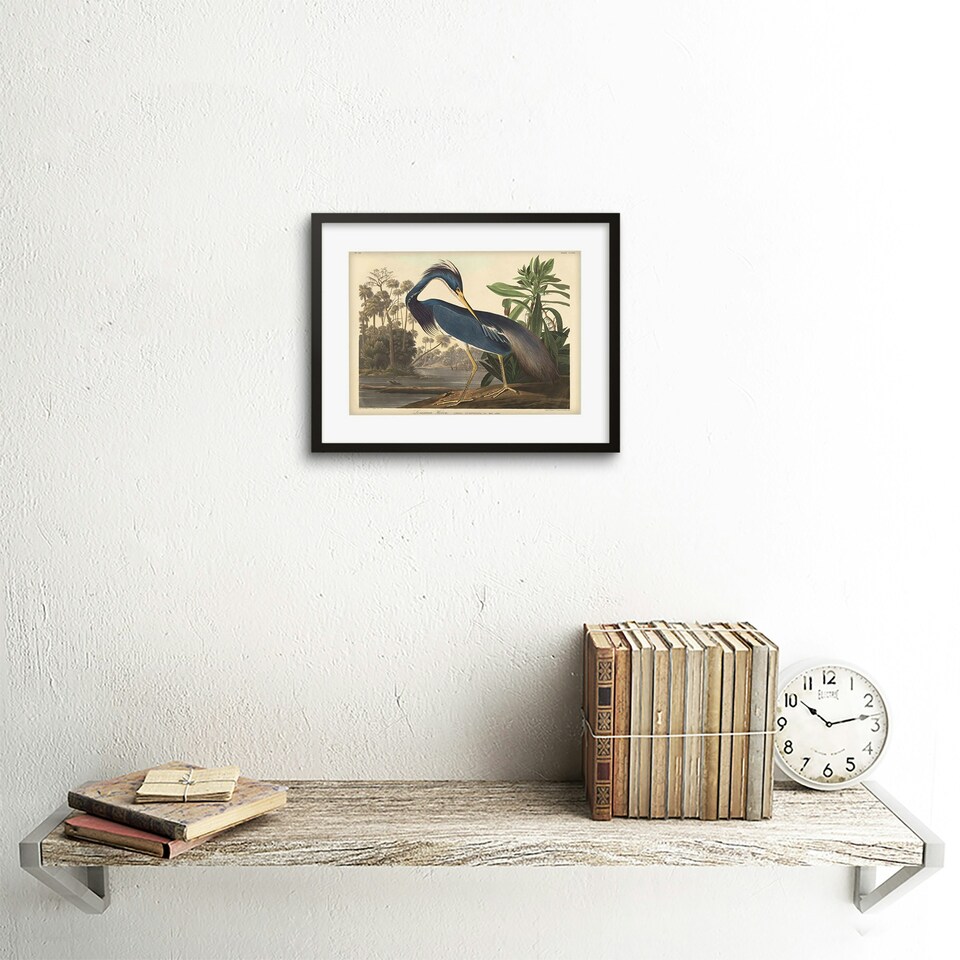 image 1 of Vintage Louisiana Blue Heron Bird Audubon 9x7" Black Framed Wall Art Print