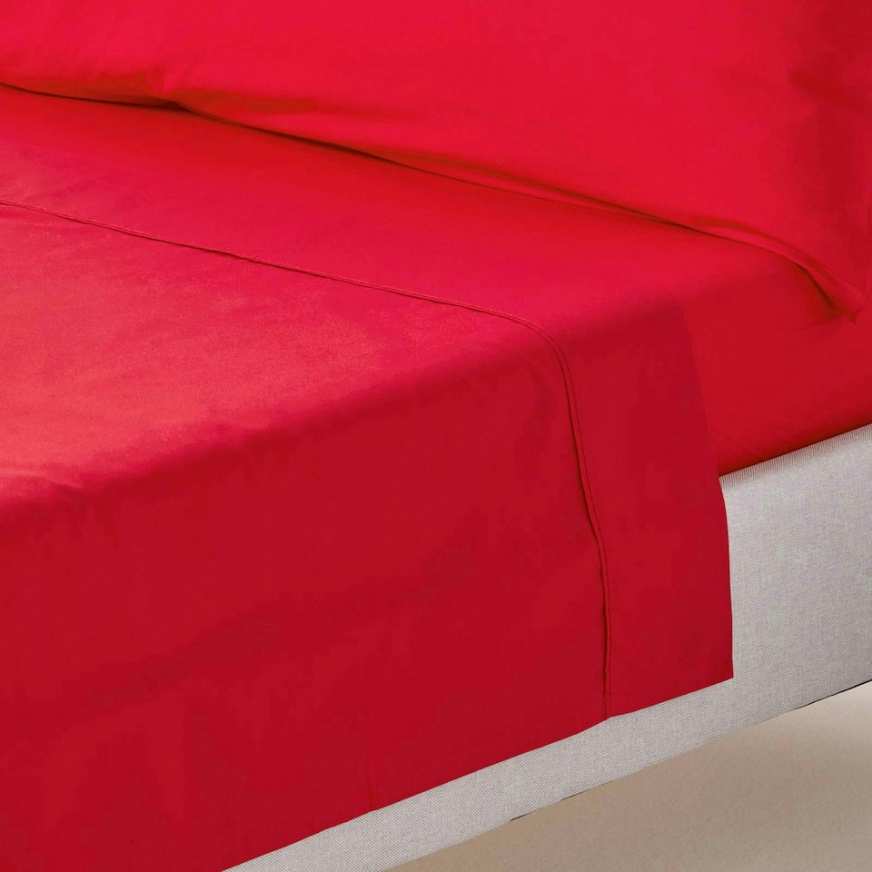 image 1 of Homescapes Red Egyptian Cotton Flat Sheet 200 TC, Single Red | Single