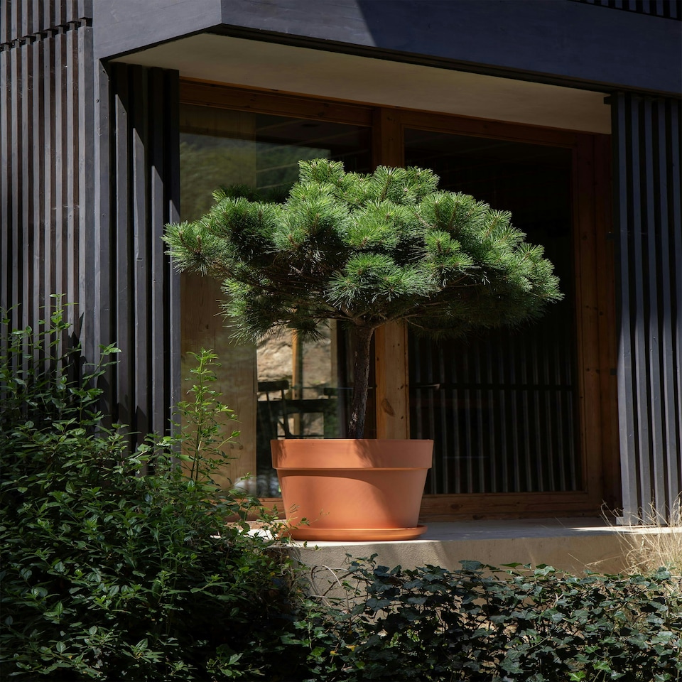 image 1 of APTA Verona 13cm Terracotta Pots (Set of 4) - Classic Indoor & Outdoor Decor