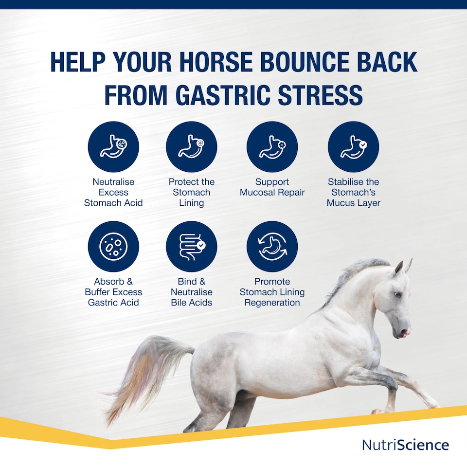 image 1 of NutriScience Horse Gastric Supplement Gut Ulcer Digestive Support Powder 1.8kg