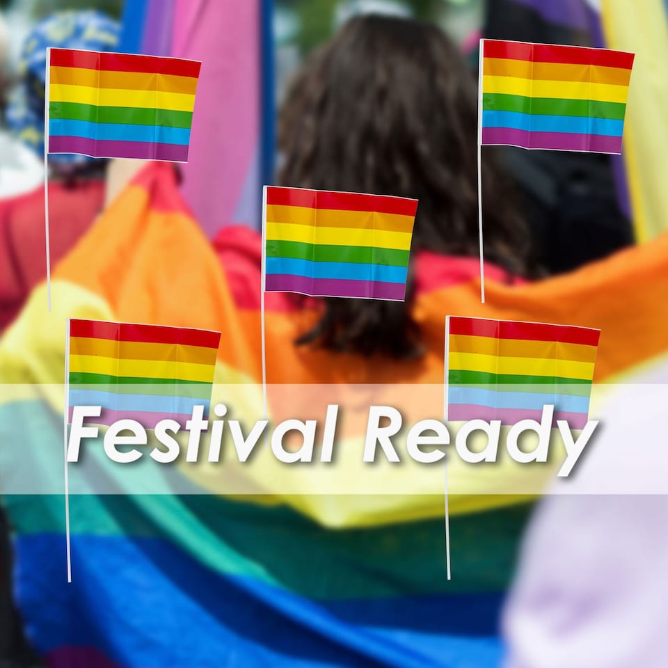 image 1 of PMS Rainbow Pride Flag 30 x 20 cm - LGBT Rainbow Stripes