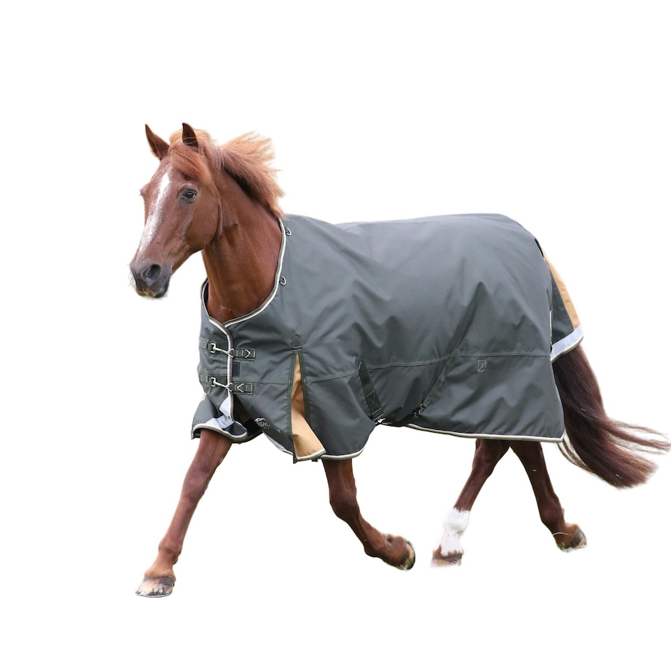 image 1 of Highlander Plus Combo Horse Turnout Rug - Green - 7´ 5"