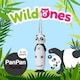 image 2 of Brush Baby WildOnes Panda Kids Electric Rechargeable Toothbrush