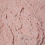 Blush Rose