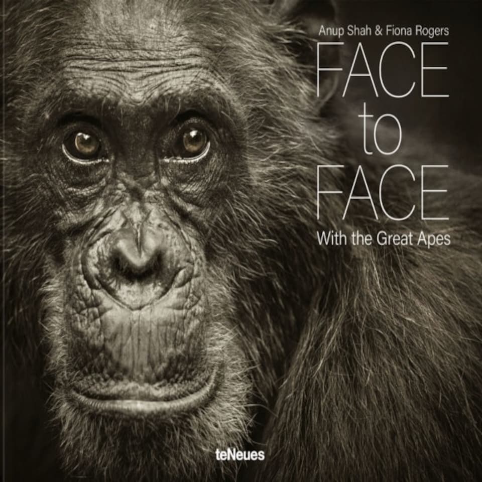 Face To Face