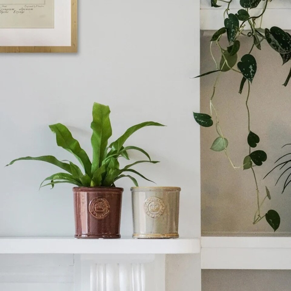 image 1 of Kew Reactive Glaze Planter - Ceramic - L18 x W18 x H17 cm - Ivory White