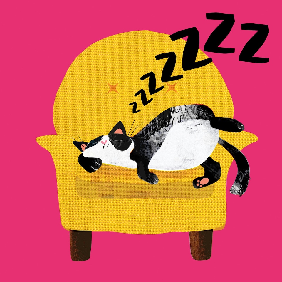 image 1 of Sleeping Cat - Cat Nap Greetings Card By Paul Delaney