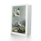 image 2 of John James Audubon Art Card Birds of America Snow Bunting