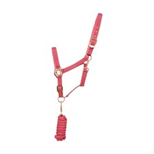 Hy Rose Gold Headcollar and Lead Rope - Blush Pink/Rose Gold - Full
