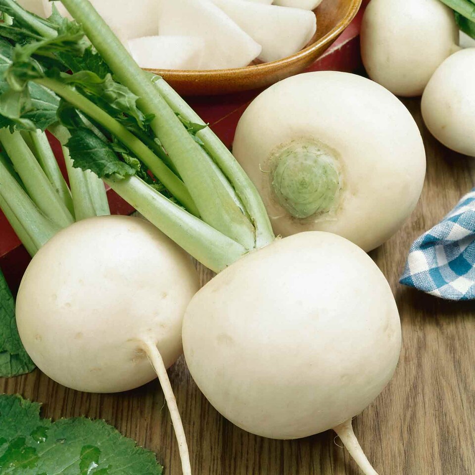 image 1 of Marshalls Garden Turnip Seeds Snowball, 2000 Seeds, Quick-cropping White Globe