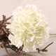 image 1 of Cream Short Stem Hydrangea Artificial Silk Flower 51cm