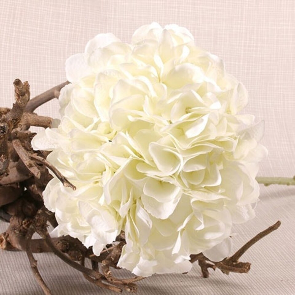 image 1 of Cream Short Stem Hydrangea Artificial Silk Flower 51cm