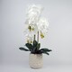image 1 of 60cm Pure White Artificial Orchid with Ceramic Bubble Planter
