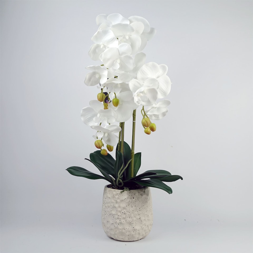 image 1 of 60cm Pure White Artificial Orchid with Ceramic Bubble Planter