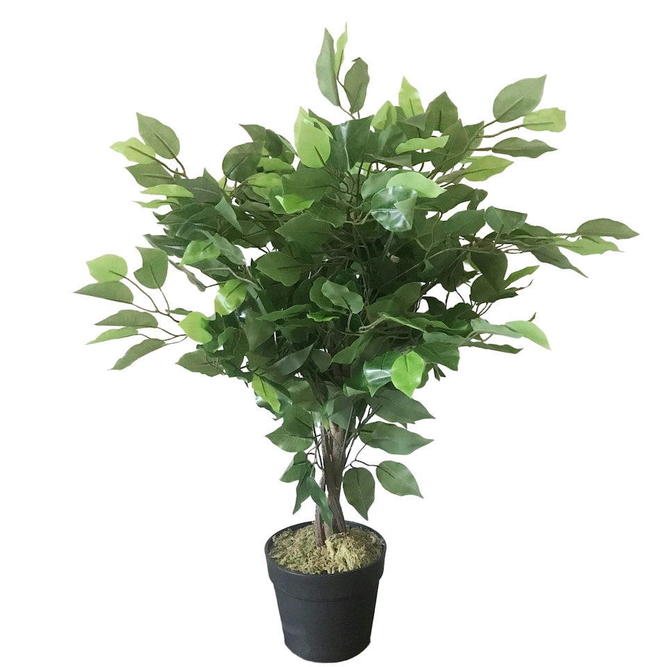 image 1 of 60cm Leaf Realistic Artificial Ficus Tree / Plant | Green | 2ft