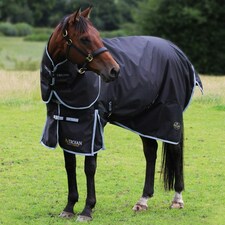 Gallop Equestrian Trojan Xtra 300 Dual Turnout Rug & Neck Set Red | Size: 6ft 6
Colour: Navy/Red