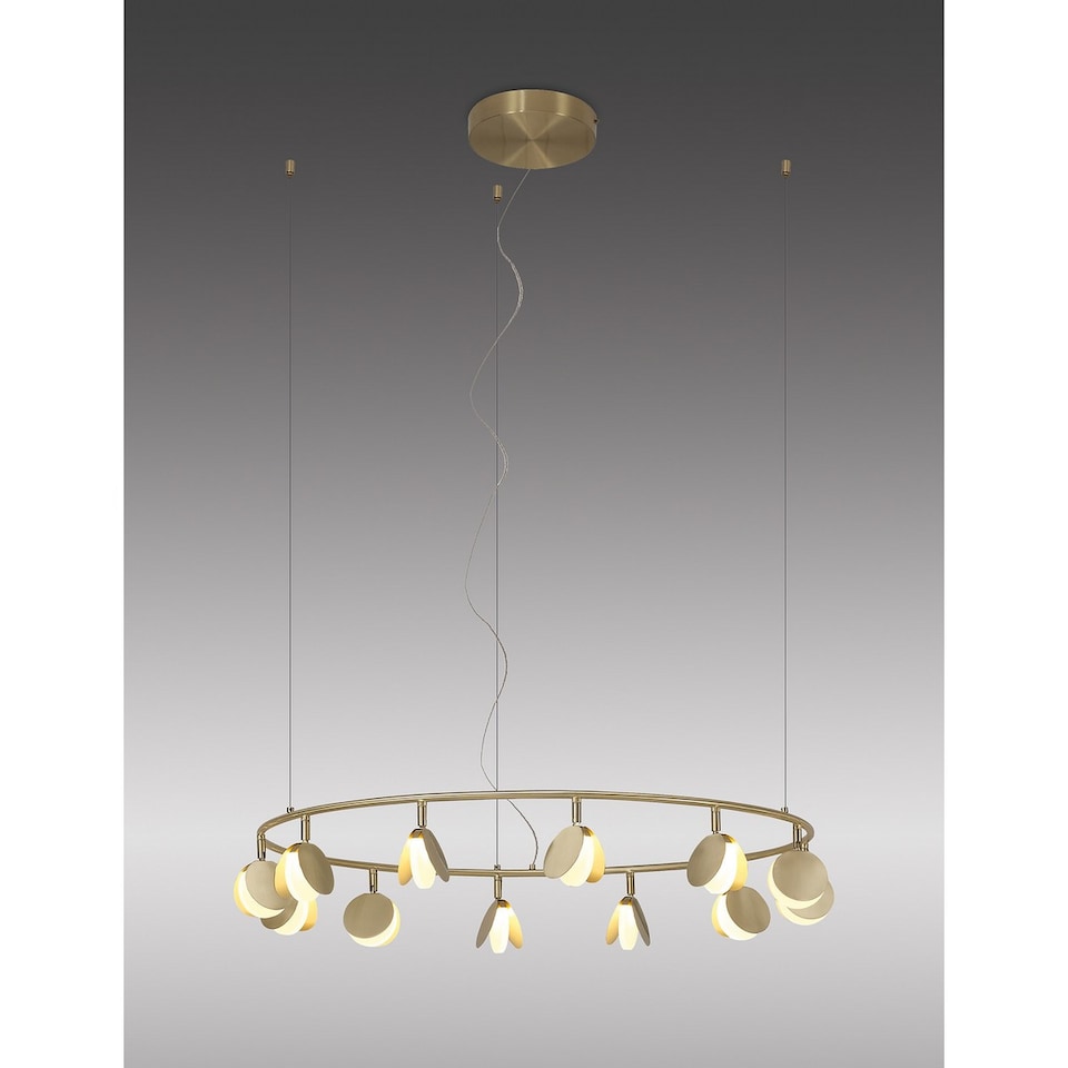 Shell 12 Light Pendant, Round, 50W LED, 3000K, 2650lm, Gold, 3yrs ...