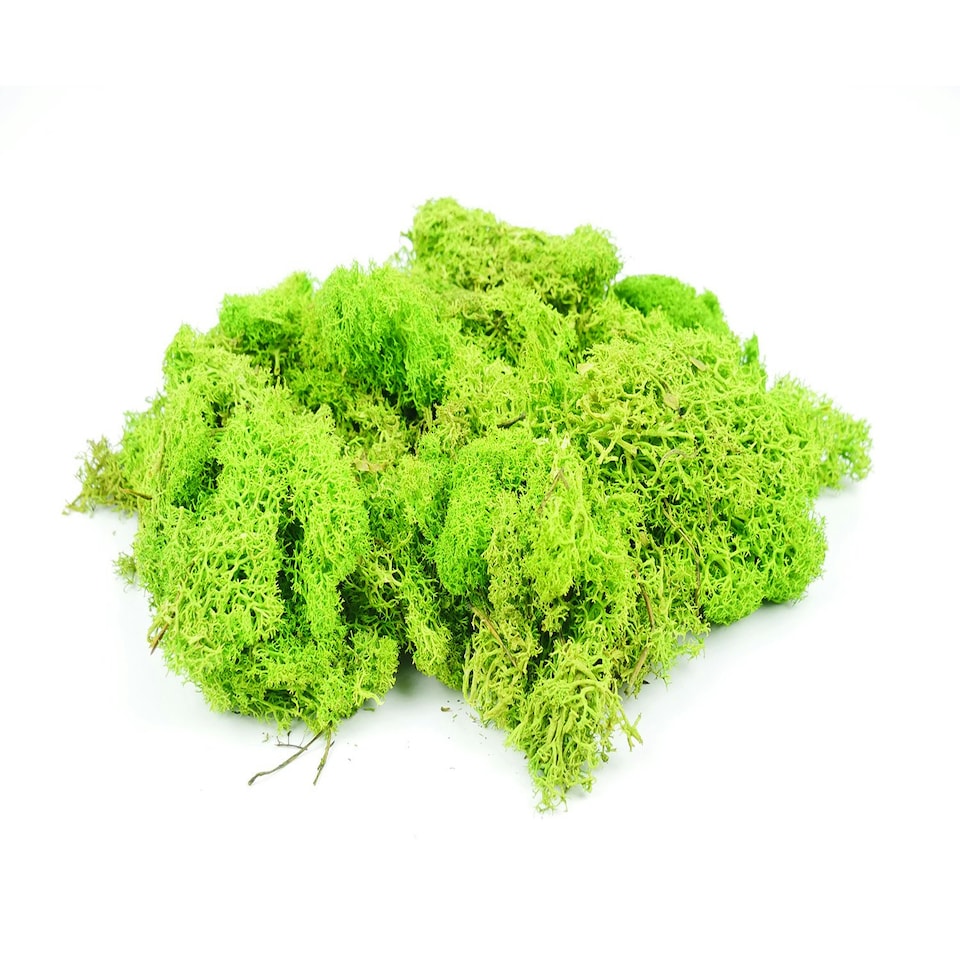 Gaugemaster Scenics Light Green Lichen 80g (GM164)