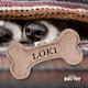 image 2 of History & Heraldry Pre-Personalised Squeaky Bone Dog Toy - Loki