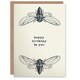 image 1 of Cicada Insect Bug Vintage Style Drawing Birthday Card
