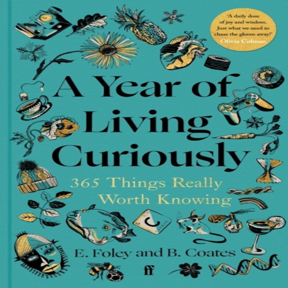 Year Of Living Curiously