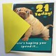 image 3 of Age 21 Birthday Card Crazy Wrinkly Dog