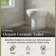 image 3 of Comfort Height Back To Wall Toilet Pan   - 440mm x 370mm x 530mm