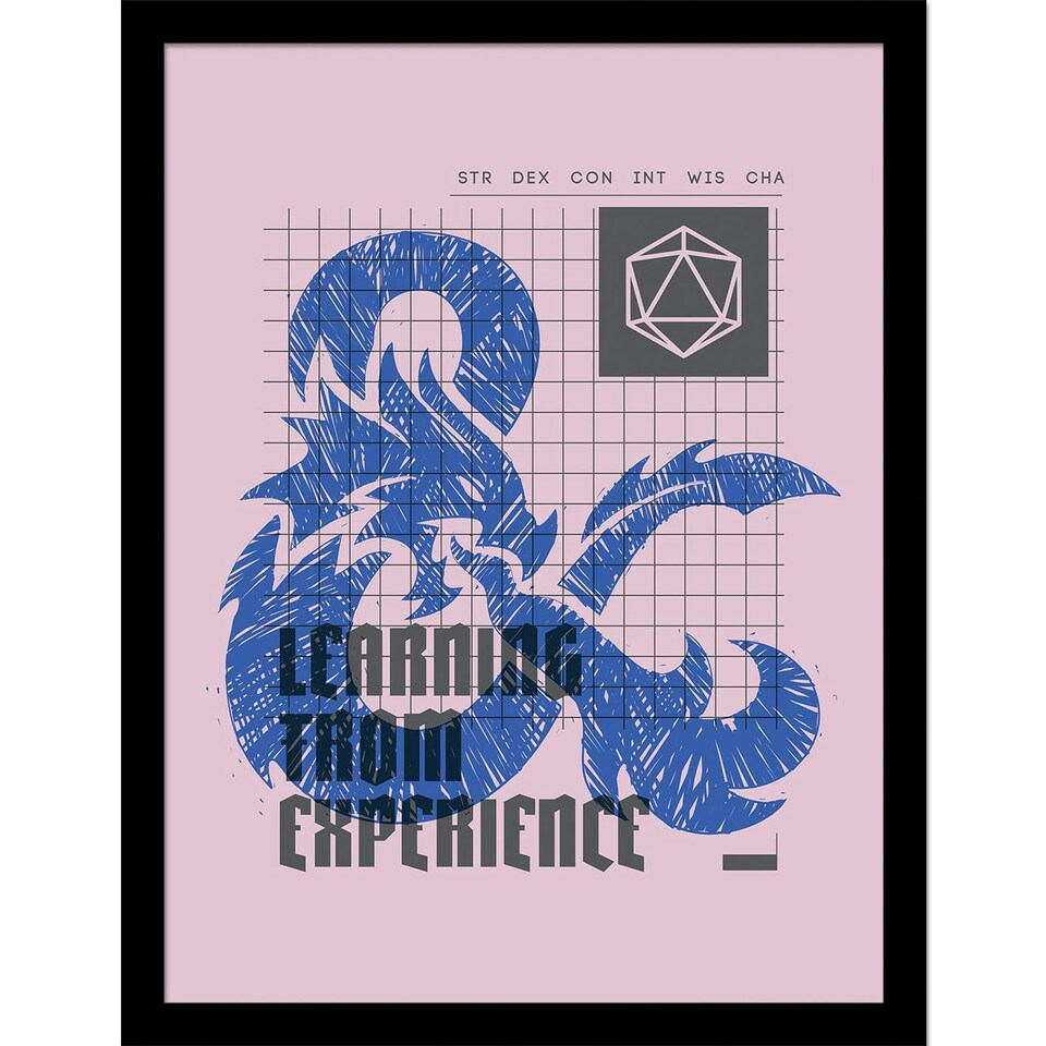 image 1 of Dungeons & Dragons (Learning From Experience) Framed 30x40cm Print