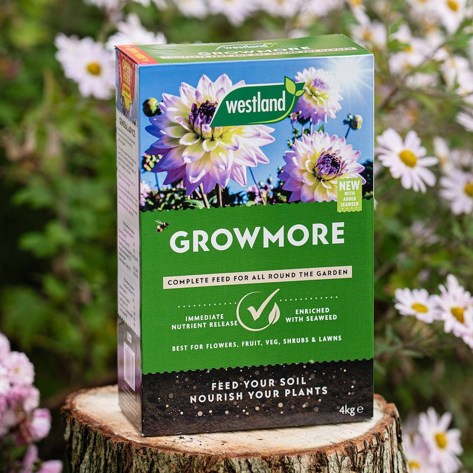image 1 of Westland Growmore Fertiliser
