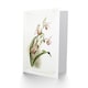 image 2 of Frederick Sander Selenipedium Weidlichianum Orchid Art Greeting Card