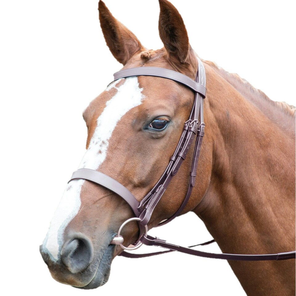 Avignon Hunter Leather Horse Cavesson Bridle - Havana - Full