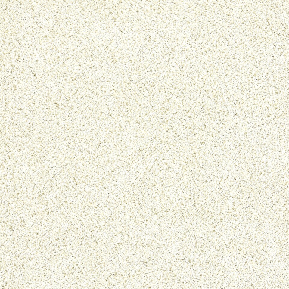 image 1 of Howler & Scratch Shaggy Rug Ivory 60x100