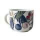 image 1 of Royal Botanic Gardens Kew Fruit And Floral White Mug 290ml