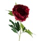 image 5 of Pack of 6 x 80cm Artificial Dark Pink Peony Stem