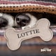 image 2 of History & Heraldry Pre-Personalised Squeaky Bone Dog Toy - Lottie