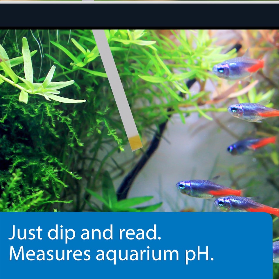 image 1 of API pH Test Strips (25 Pack) Wide Range Dip & Read pH Testing for Fresh & Saltwater Aquarium Test Kit