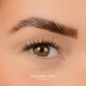 image 2 of House Of Amor - Eyelash Extensions - Volume 2 - Pre Mapped Multipack -