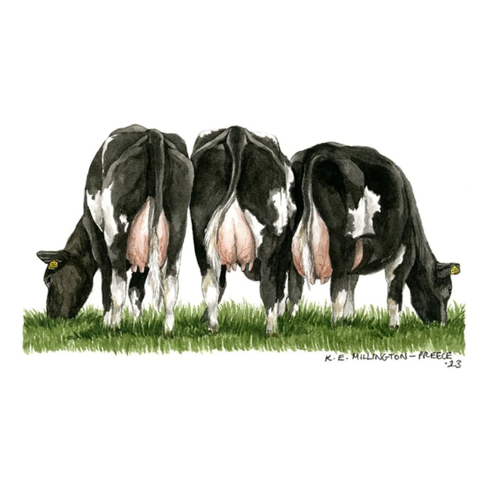 Kevin Milner Countryside Fresian Cow Greetings Card - White/Black/Green - One Size