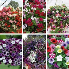 Gardening Supplies
