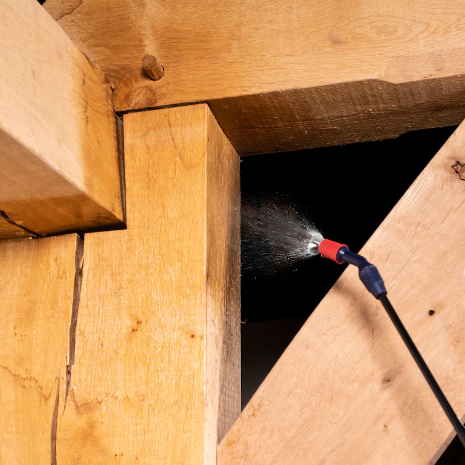 image 1 of Soluguard Woodworm Treatment - Ready For Use High Strength Woodworm Killer (5 Litre, Clear)