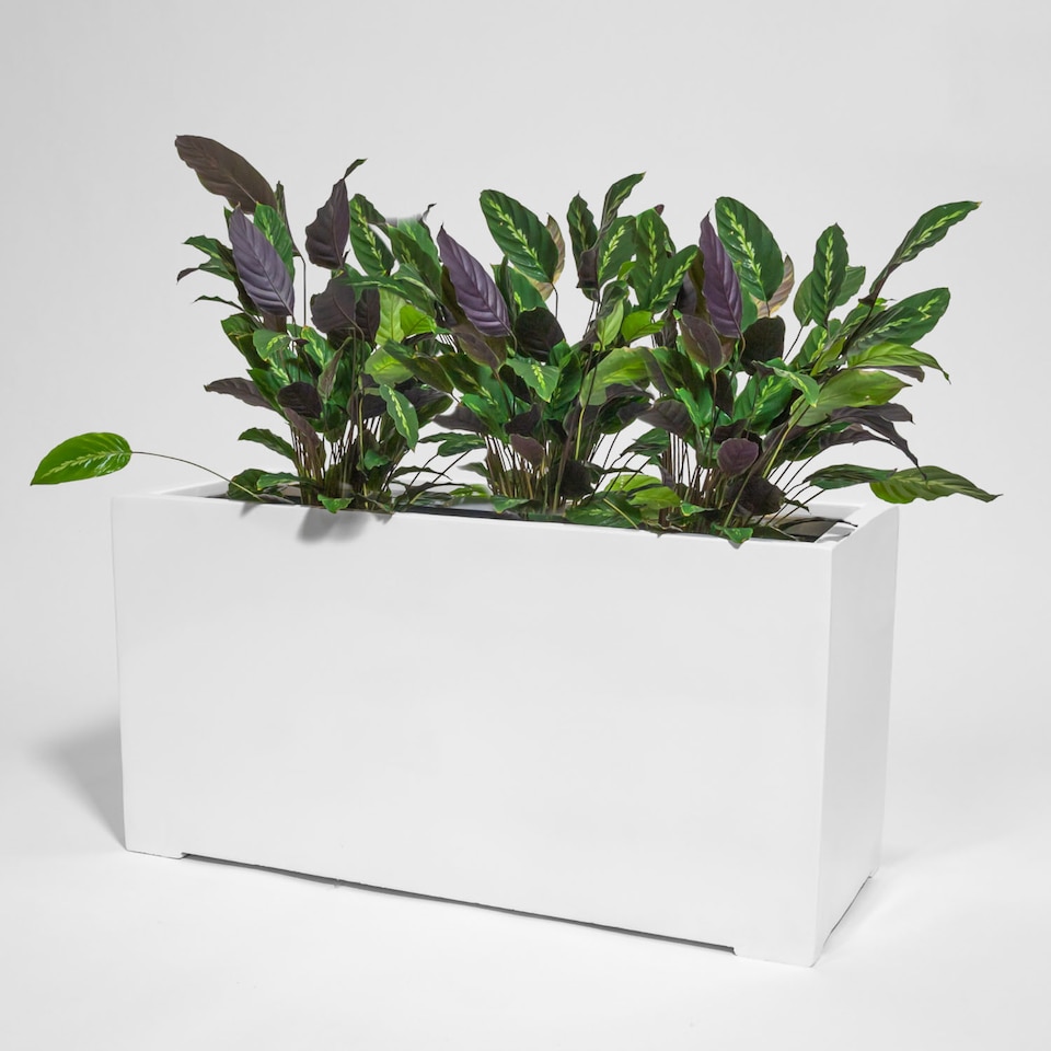 image 1 of Primrose White Gloss Polystone Rectangular Trough Planter 100cm