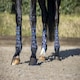 image 8 of LeMieux Ultra Mesh Snug Boots Hind Blue | Large