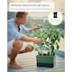 image 5 of CHARLY CHILI Chili pot with water tank & climbing system - regular Dark Green | Green | Dark Green