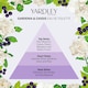 image 3 of Yardley London Gardenia and Cassis Eau de Toilette 125ml