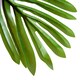 image 9 of Outsunny Artificial Tree, 150cm Tropical Palm Tree, Fake Plants in Pots, FauGreen Plant for Indoor Home Office Living Room Decoration