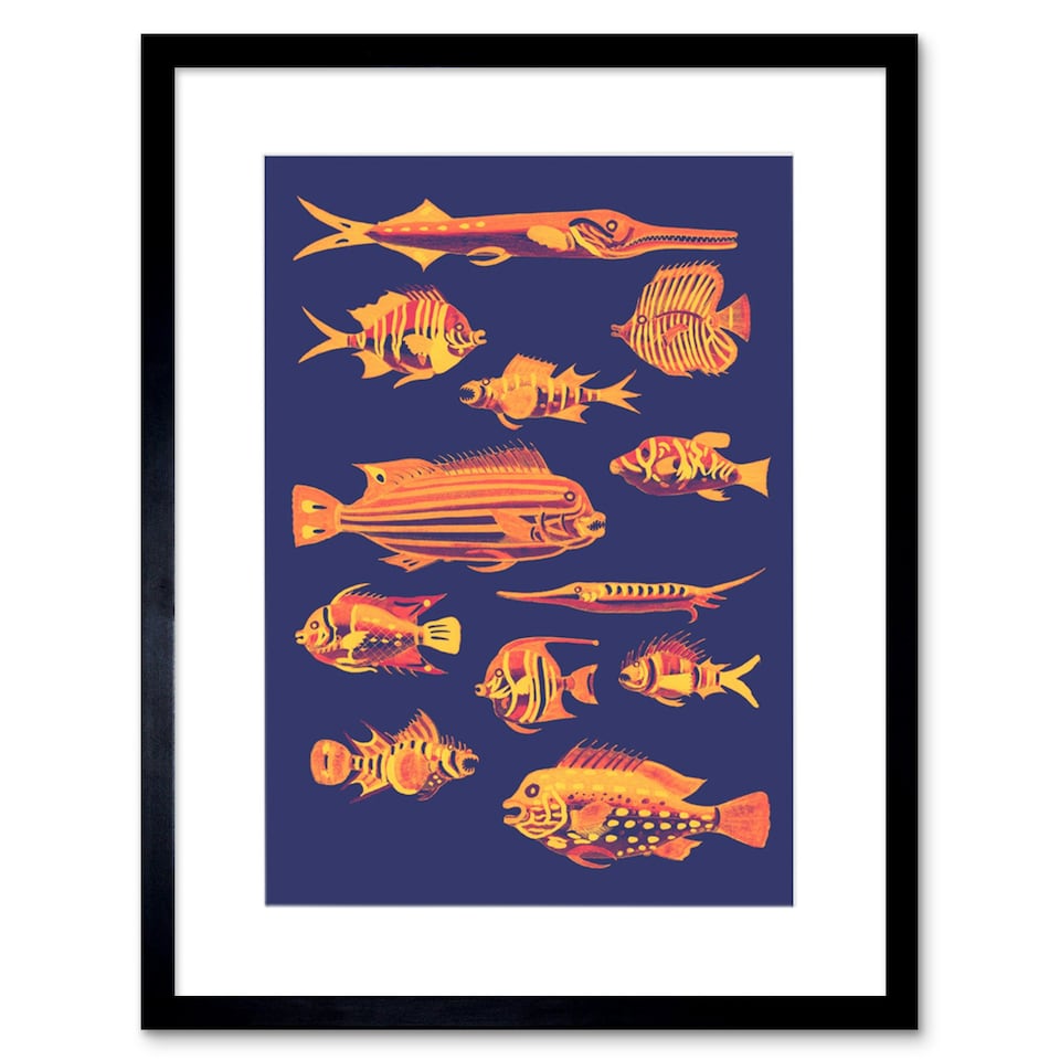 image 1 of School Of Fish Vivid Orange Blue Sea Life Bathroom 9x7" Black Framed Wall Art Print