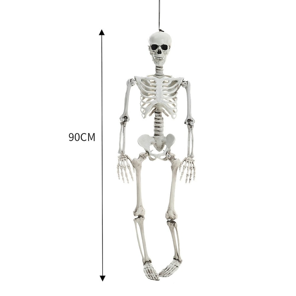image 1 of Living and Home Halloween Realistic Full Body Skeleton  Posable Prop - 90cm