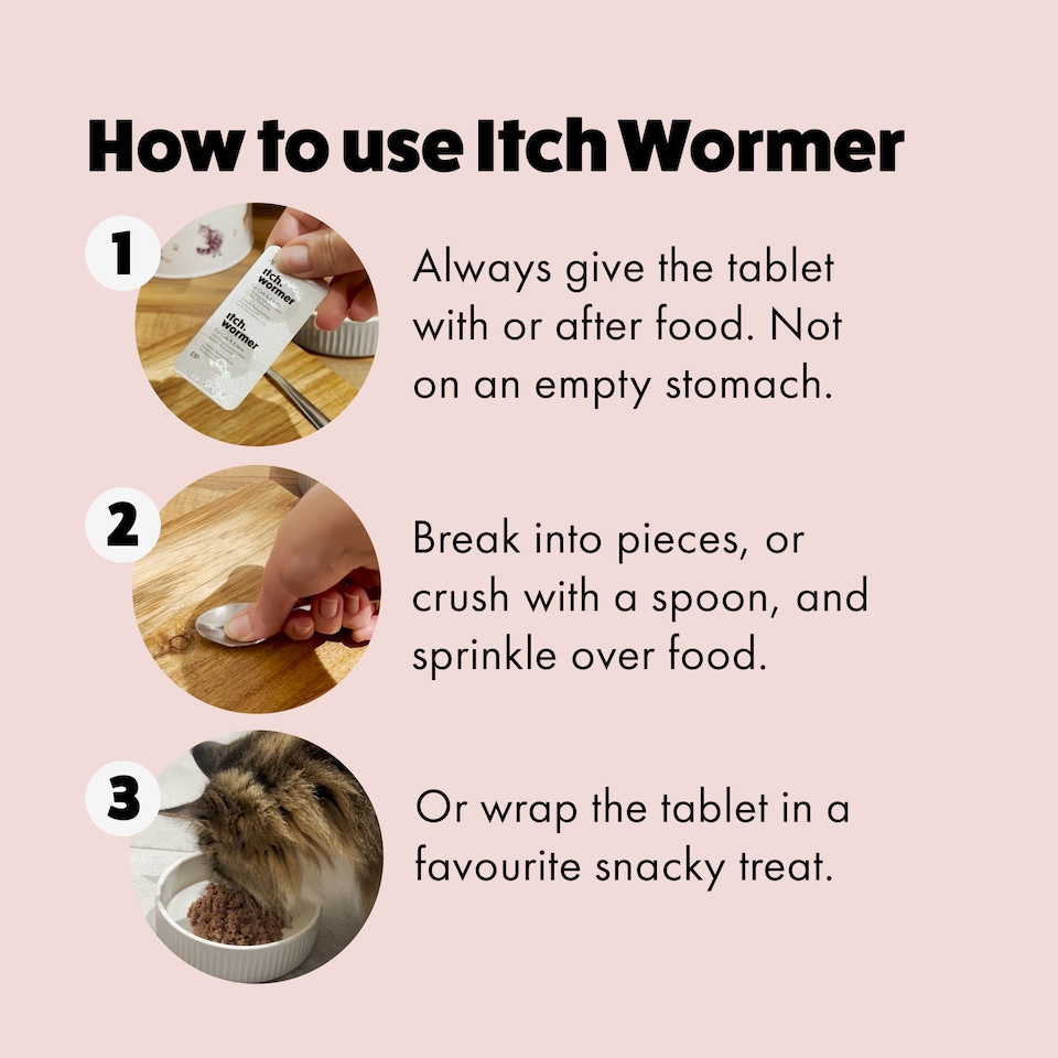image 1 of Itch Flea Cat Flea and Tick Treatment and Wormer Bundle