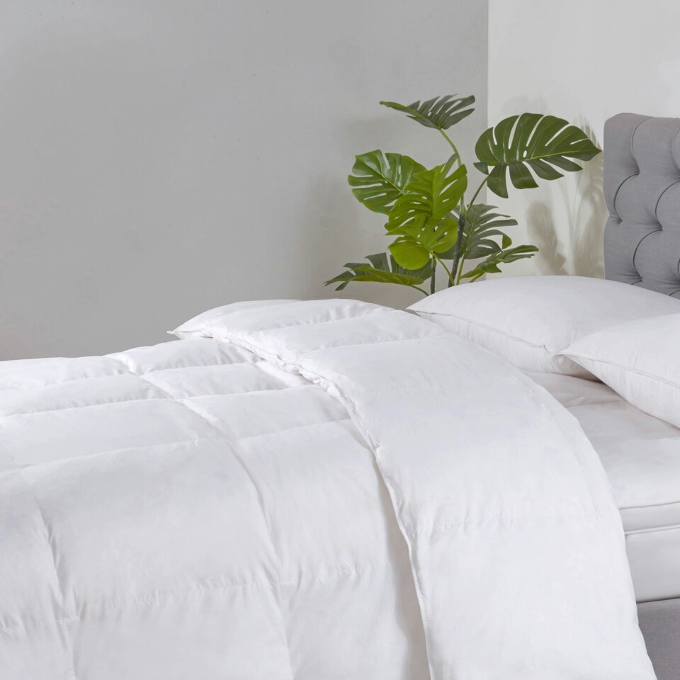 image 1 of BHS 13.5 Tog Goose Feather & Down Duvet | White | White