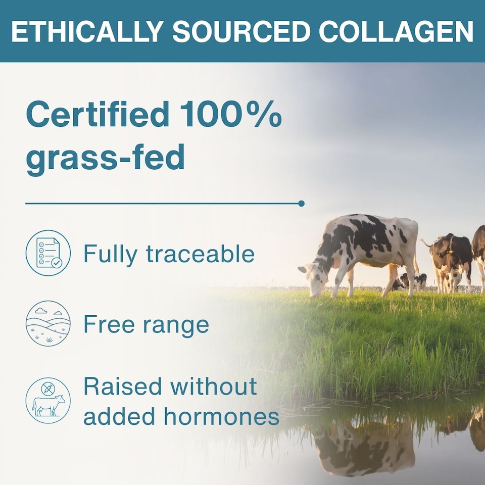 image 1 of Igennus Advanced Hydrolysed Collagen Peptides, Grass-fed Bovine Collagen Protein Powder, 40 Servings